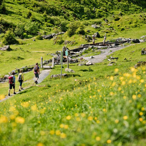 Bergweggetje