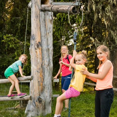 Spelende kinderen in het bos